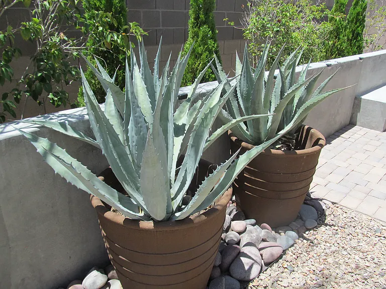2157 Rio Rancho Pointe Pl — Photo 27