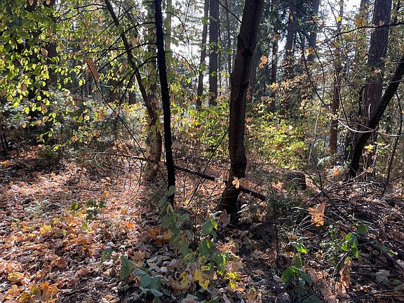 5th image of 3062 Sly Park Rd