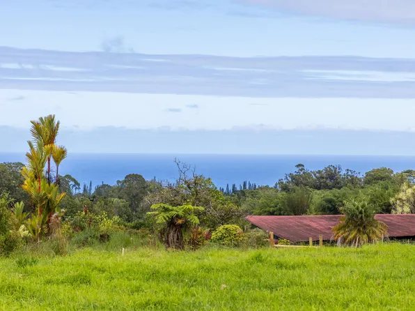 Chin Chuck Rd Lot F, Hakalau, HI 96710