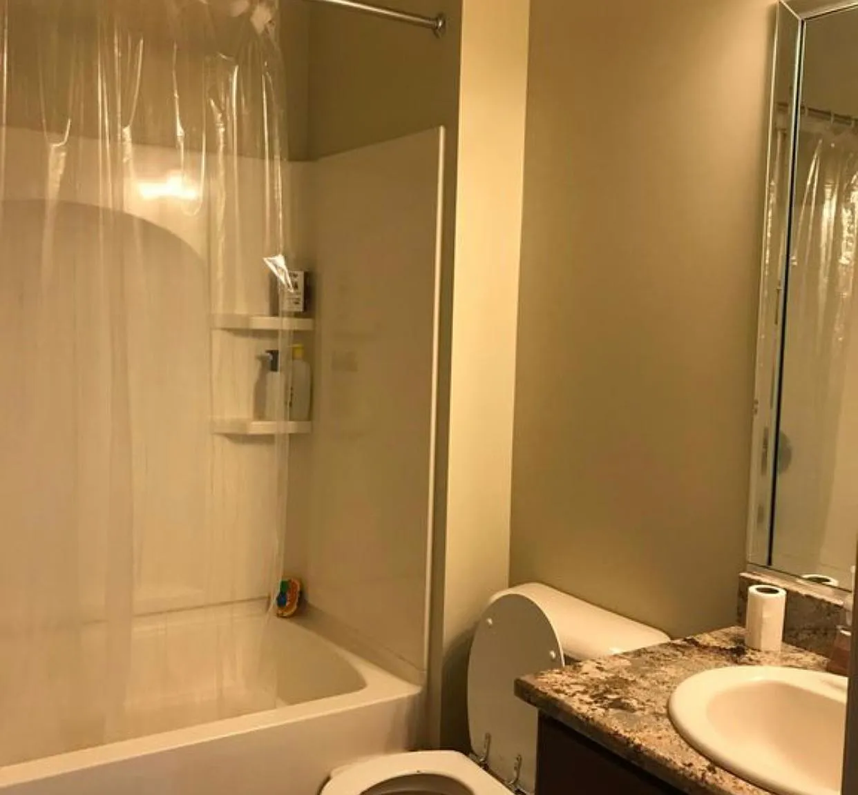 2 bed, 1438 sqft, $2,400 — Photo 2
