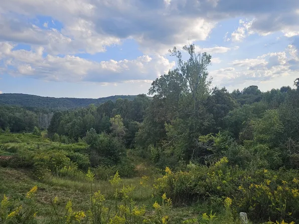 1970 Rock Ave, Palmer, TN 37365