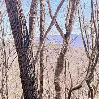 1st image of Na Pettit Ridge Rd