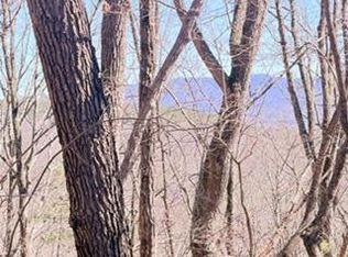 Na Pettit Ridge Rd, Ellijay, GA 30540
