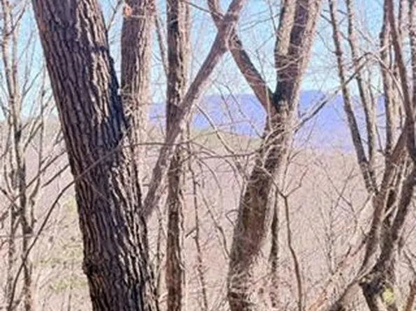 Na Pettit Ridge Rd, Ellijay, GA 30540