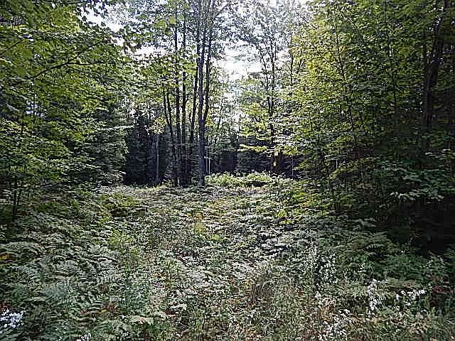 1st image of 0 Whitetail Dr