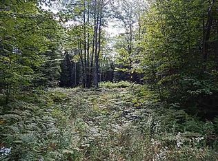0 Whitetail Dr, Cadillac, MI