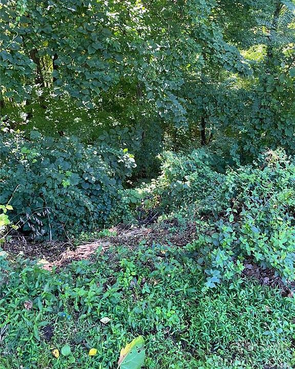 0 Vance Gap Rd, Asheville, NC 28804 MLS 3905211 Zillow