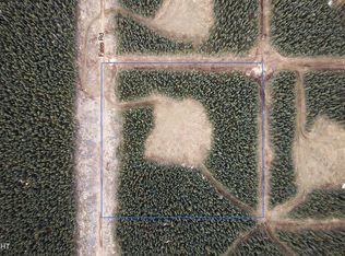 7 Boreal Frst, Tok, AK 99780