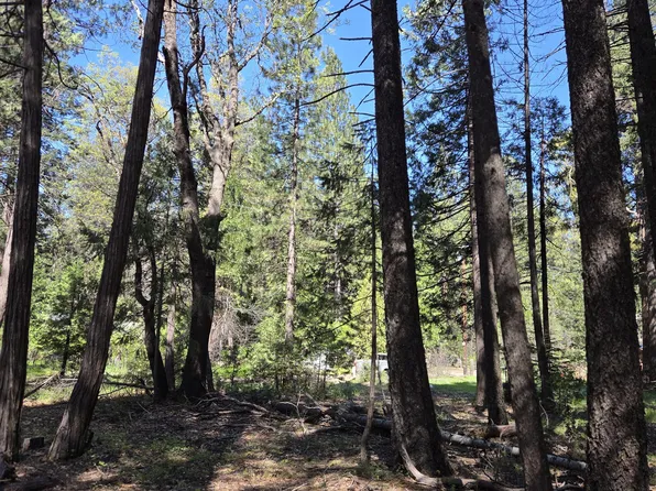 LOT 16 Arbor Ln, Shingletown, CA 96088