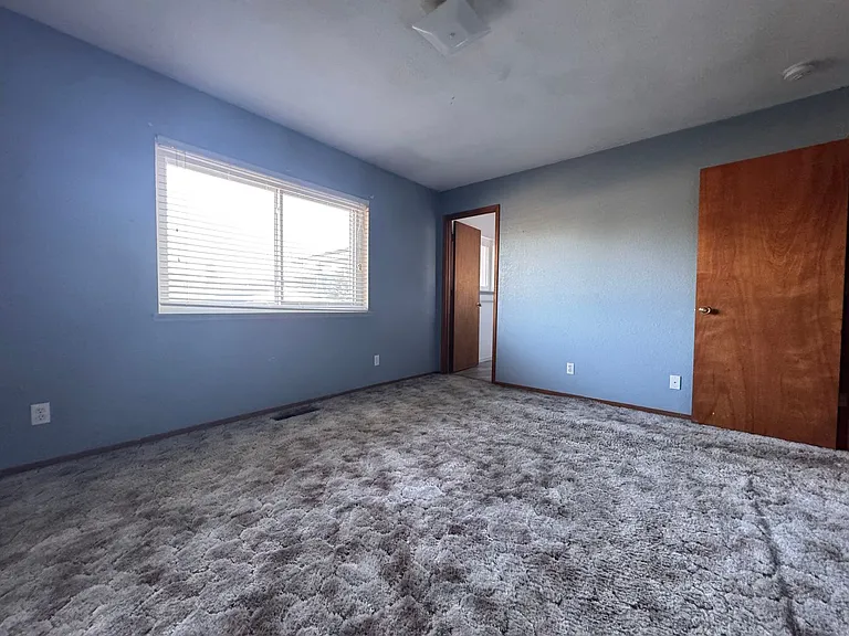 615 Shawn Way — Photo 5