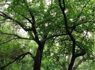 Spring Garden Ave, Deleon springs, FL 32130