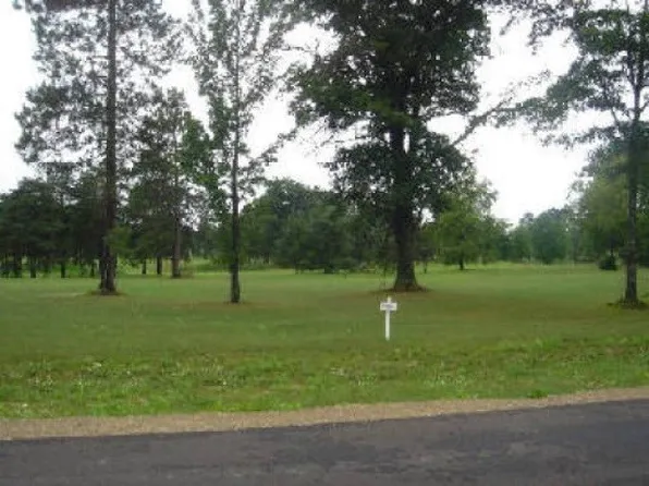 13 White Pine Rdg, Harrison, MI 48625