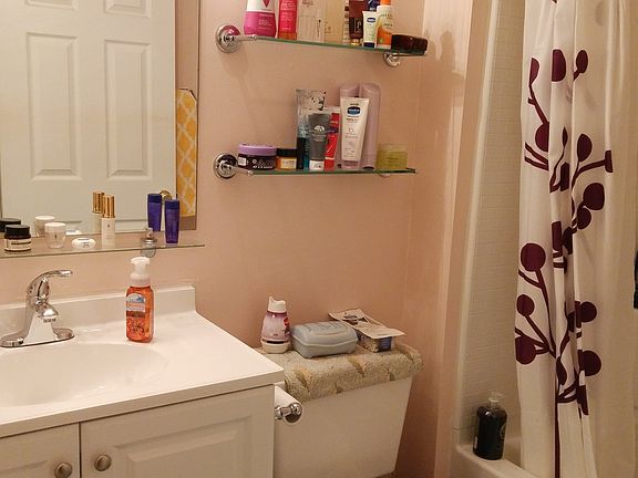 New vanity, shelves, toilet
