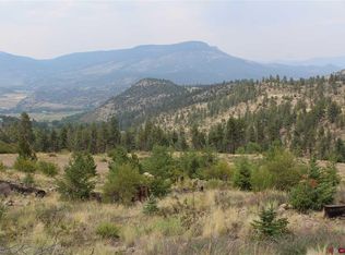 2862 Willow Park Dr, South Fork, CO 81154