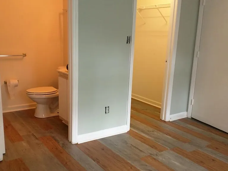 Bathroom and Closet