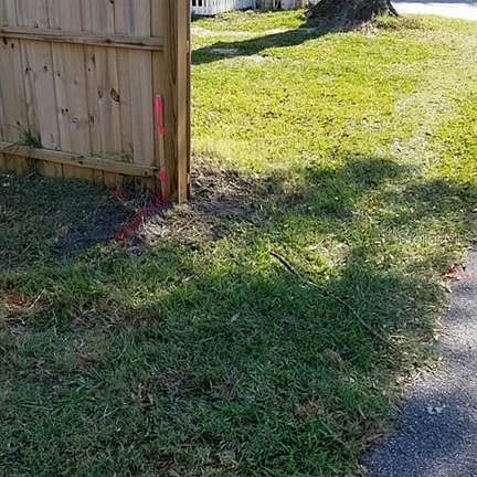 4th image of 233 Twin Lakes Cir