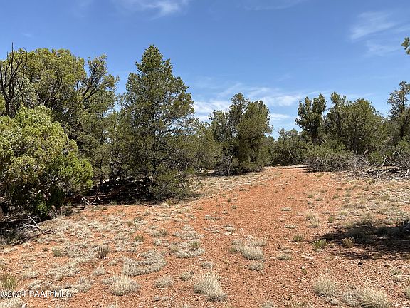 4th image of LOT 994 W Proud Juniper