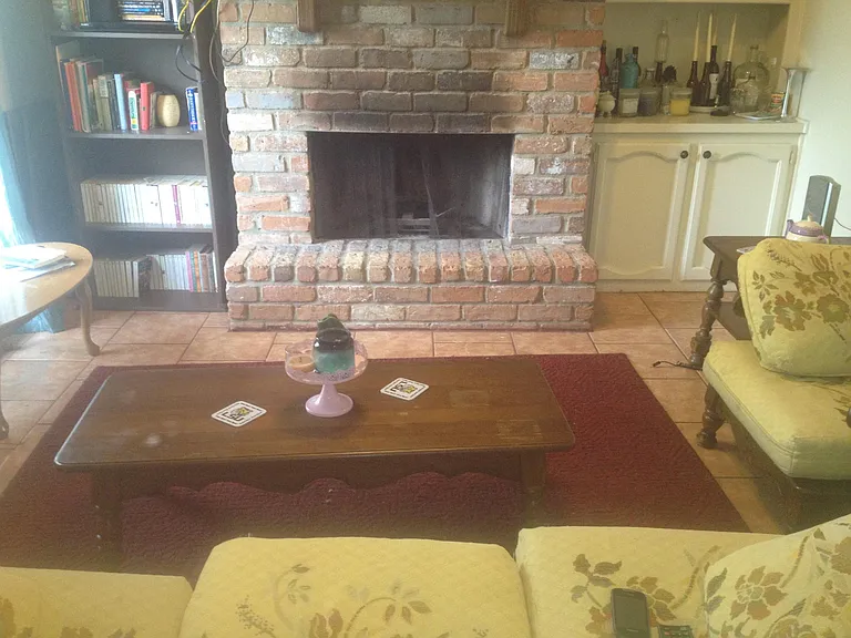 5133 Brightside View Dr — Photo 6