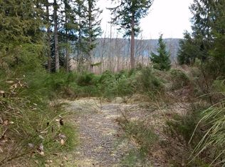 141 Rainier Vista Dr, Morton, WA 98356