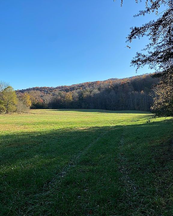 1st image of Mitchell Hollow