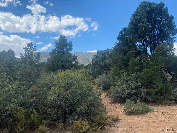 0 E Mountain Spring Ln, Hackberry, AZ 86411
