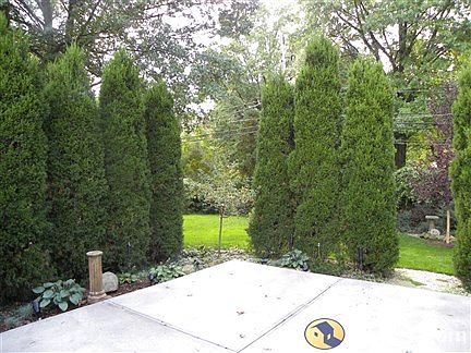 Patio view