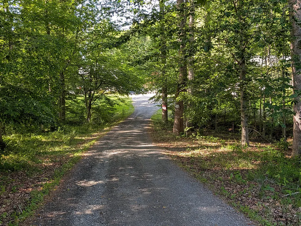 In the green tunnel coming down driveway