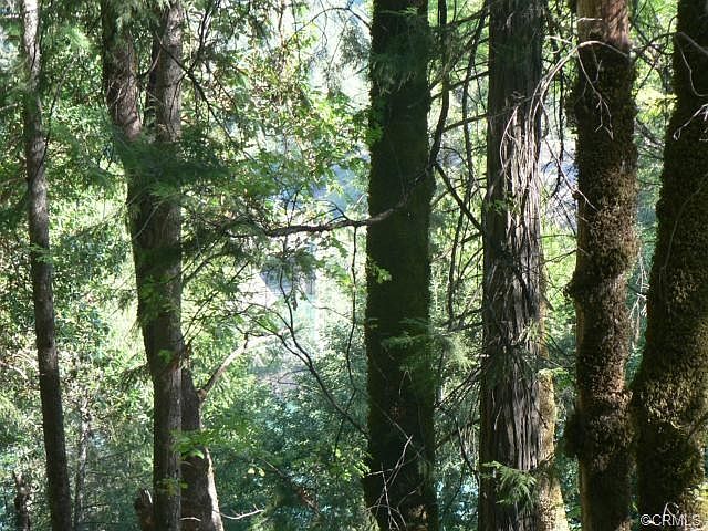 1st image of Deer Run Ln