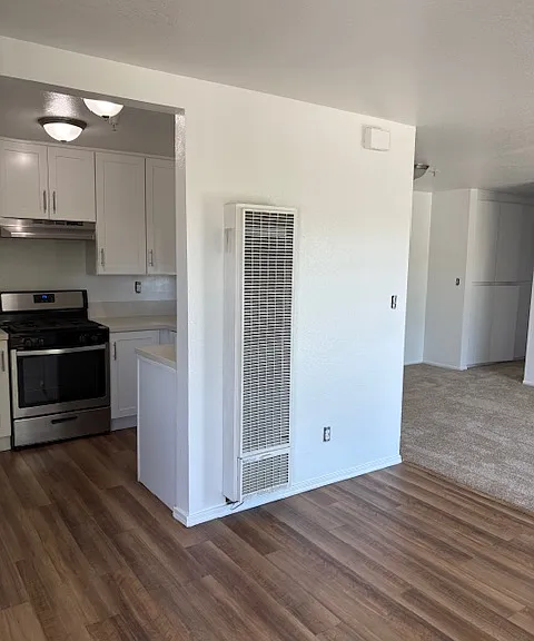 240 W Santa Cruz St #101 — Photo 4