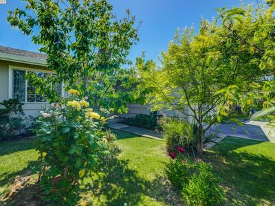 39063 Yosemite Way, Fremont, CA, 94538