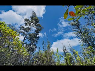 40th St LOT 80, Kurtistown, HI 96760