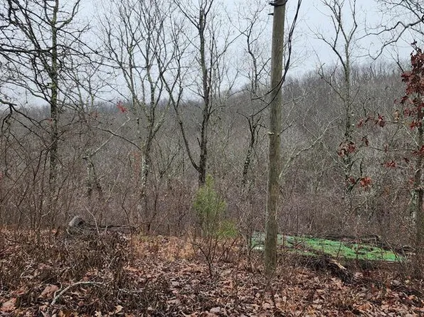 135 Old Hickory Dr, Holladay, TN 38341