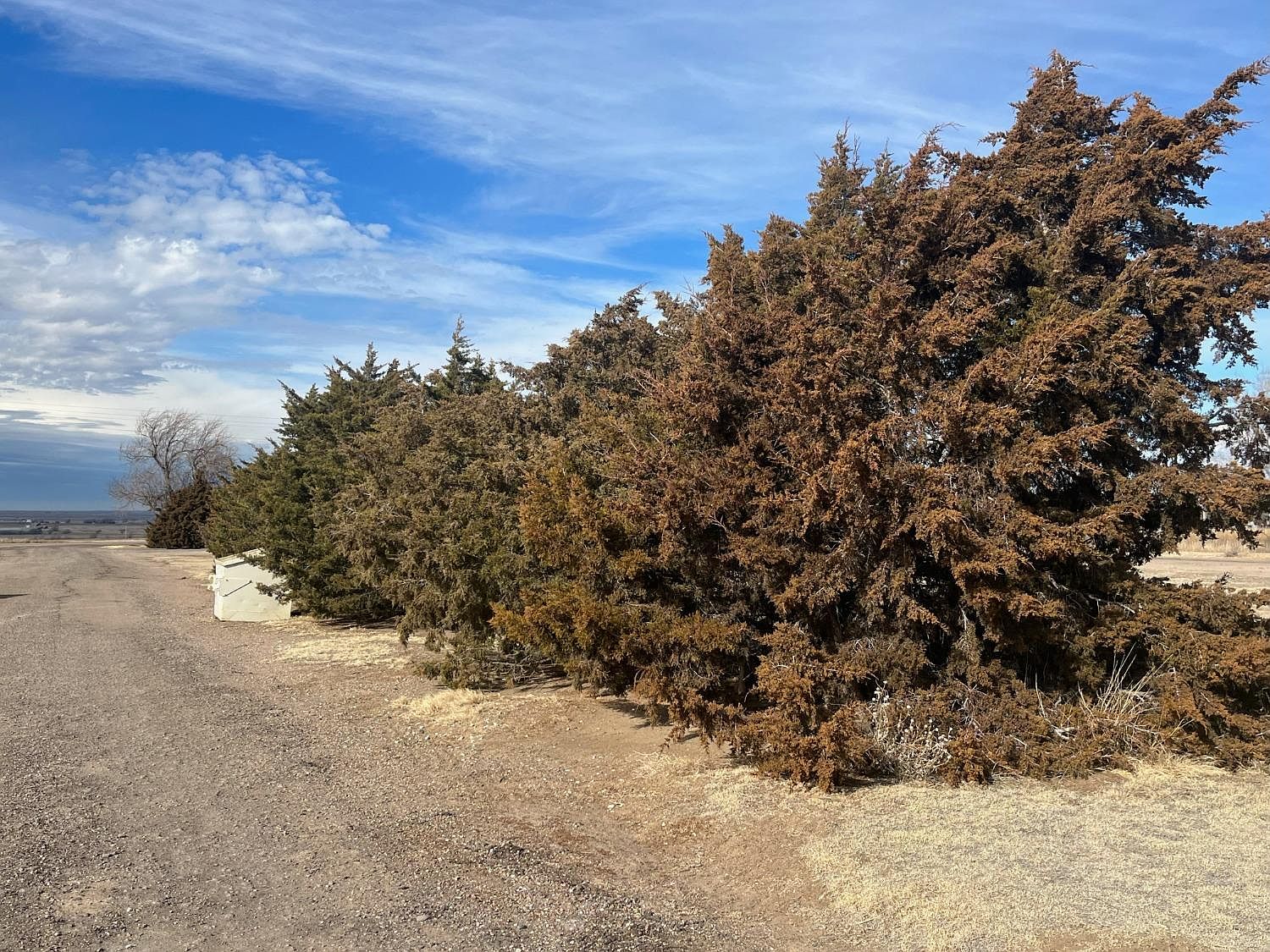 2088 S Road M, Ulysses, KS 67880 Zillow