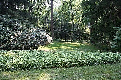 front yard