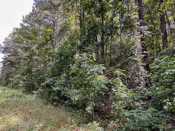 5th image of Tommy Smith Rd