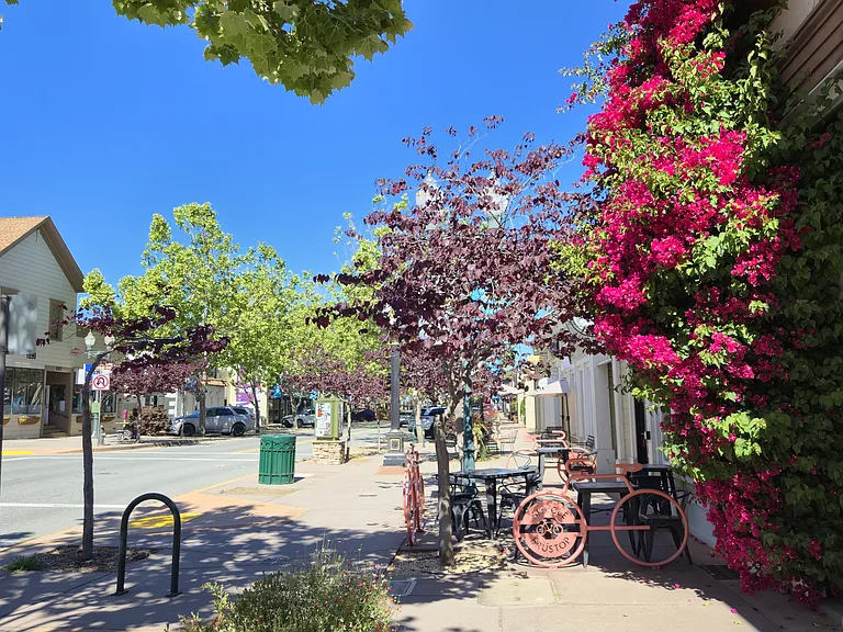8 mins to Grant Ave (downtown Novato)