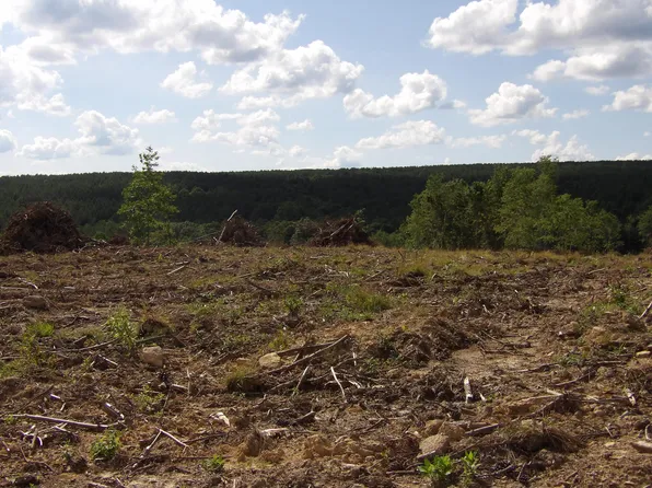 LOT 14 Summer City Rd, Evensville, TN 37332