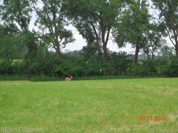 Dwyer Rd, Howell, MI 48855