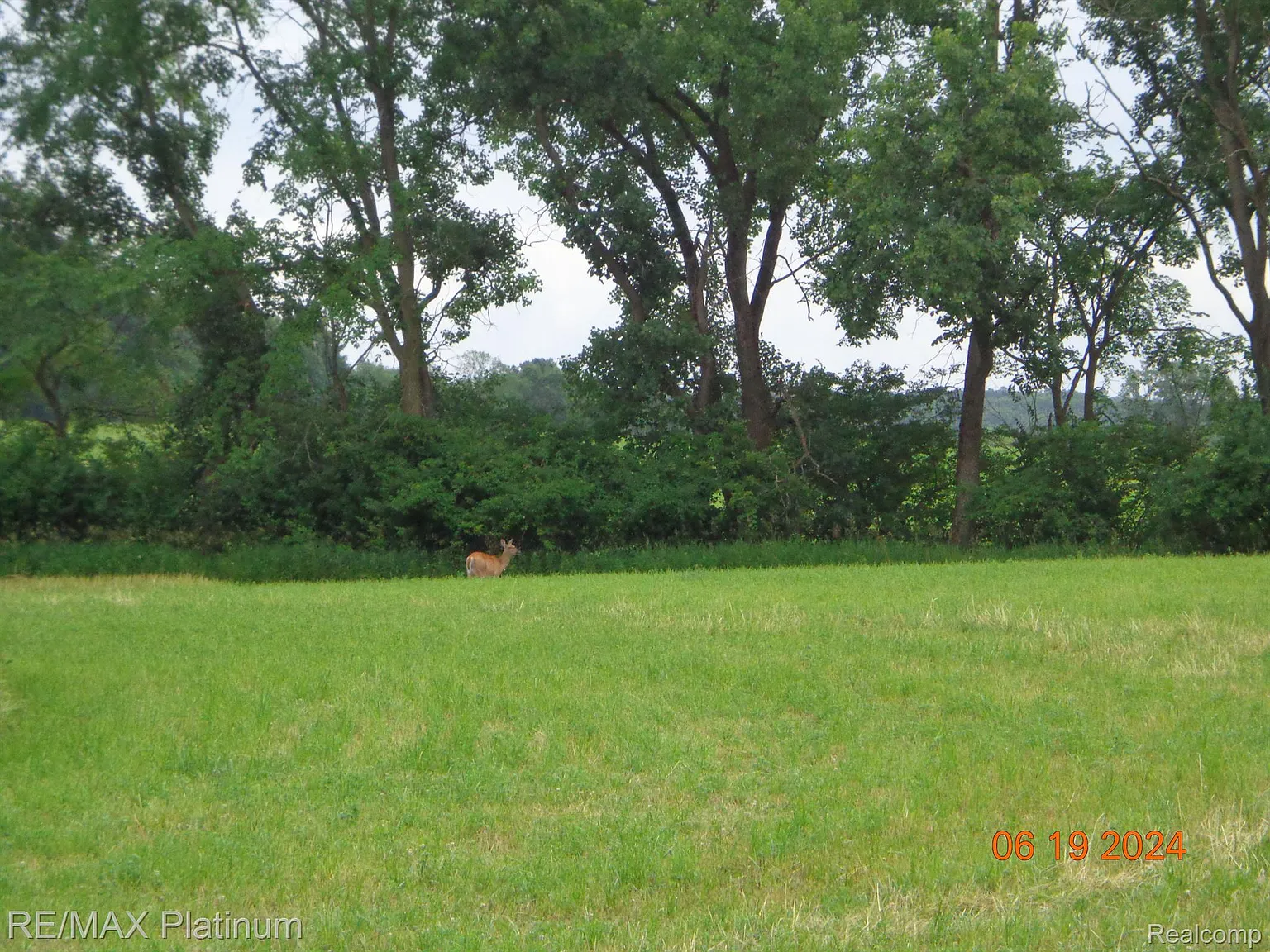 Dwyer Rd photo 1