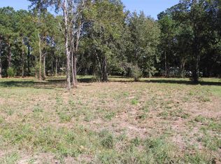 715 Dayna Ln, Sour Lake, TX 77659