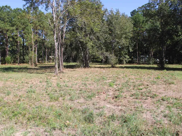 715 Dayna Ln, Sour Lake, TX 77659