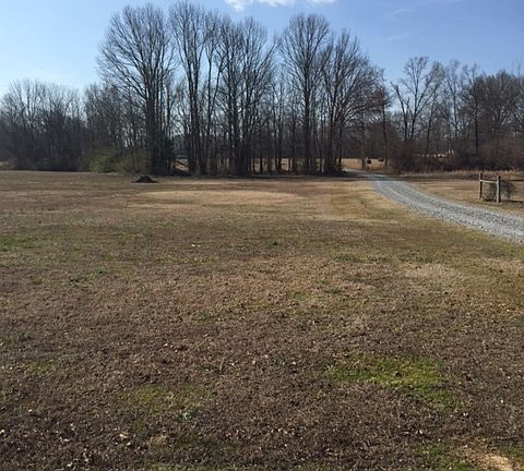 4th image of 603 B Hwy #65-N