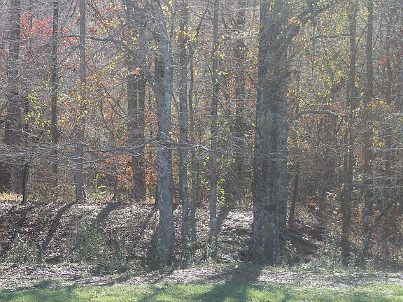 5th image of 590 Elkins Road