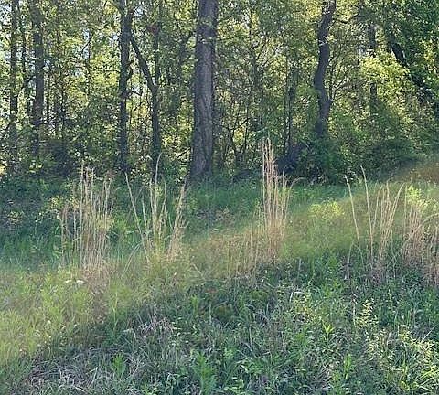 5th image of 815 A J Irvin Rd #1