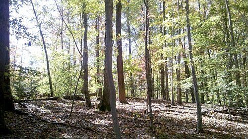 2nd image of 23330 Neck Rd