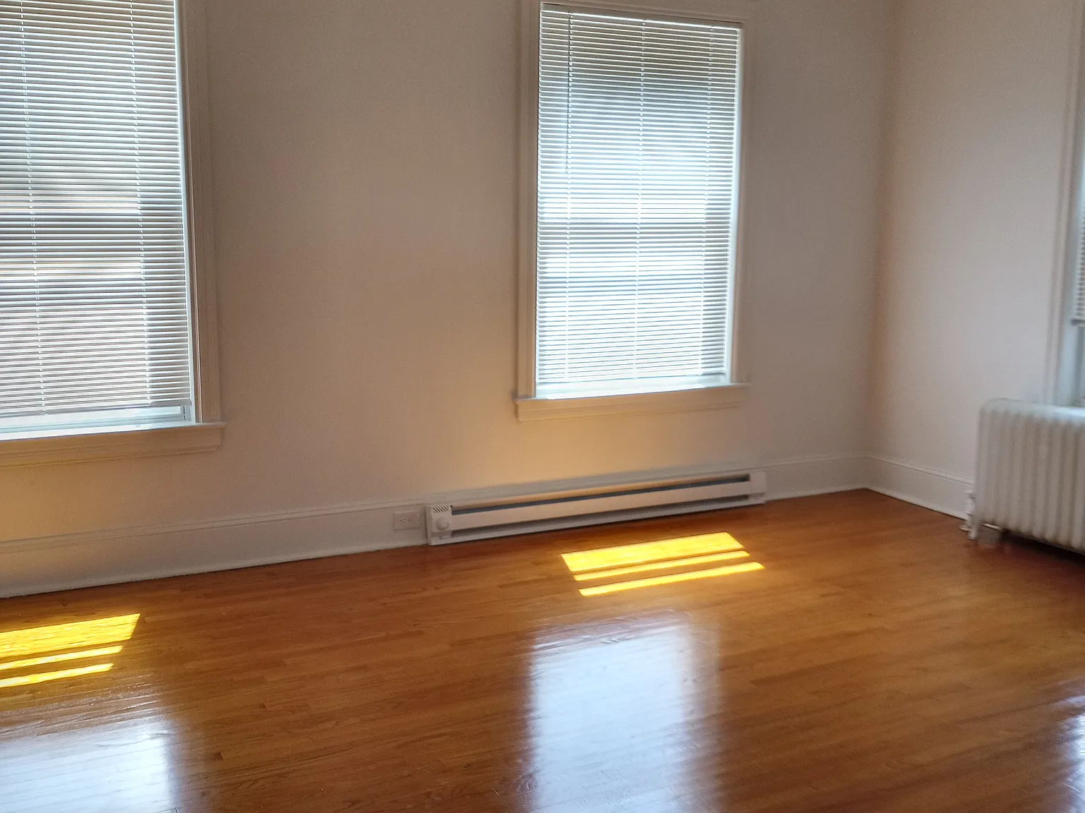 1 bed, $1,150 — Photo 3