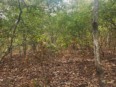 Id028 Dogwood Dr, Holladay, TN, 38341