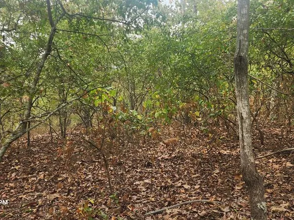 Id028 Dogwood Dr, Holladay, TN 38341