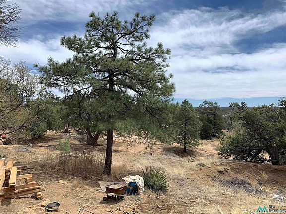 5th image of 83 Bear Valley Rd