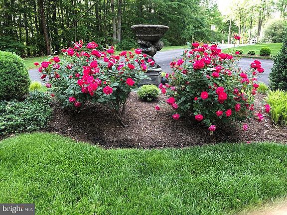 5th image of 7317 Laketree Dr